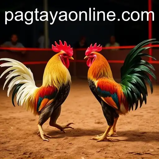 The Digital Evolution of Online Sabong and Pagtaya